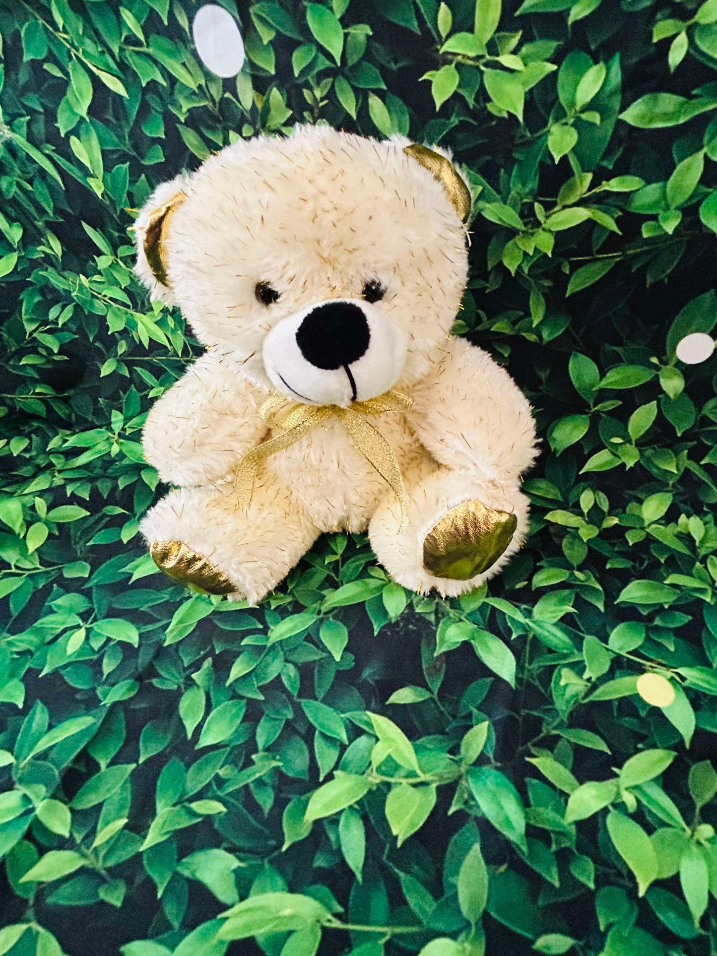 Bears