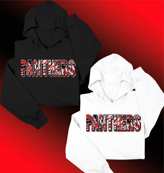 Panthers Paint Letters Hoodie
