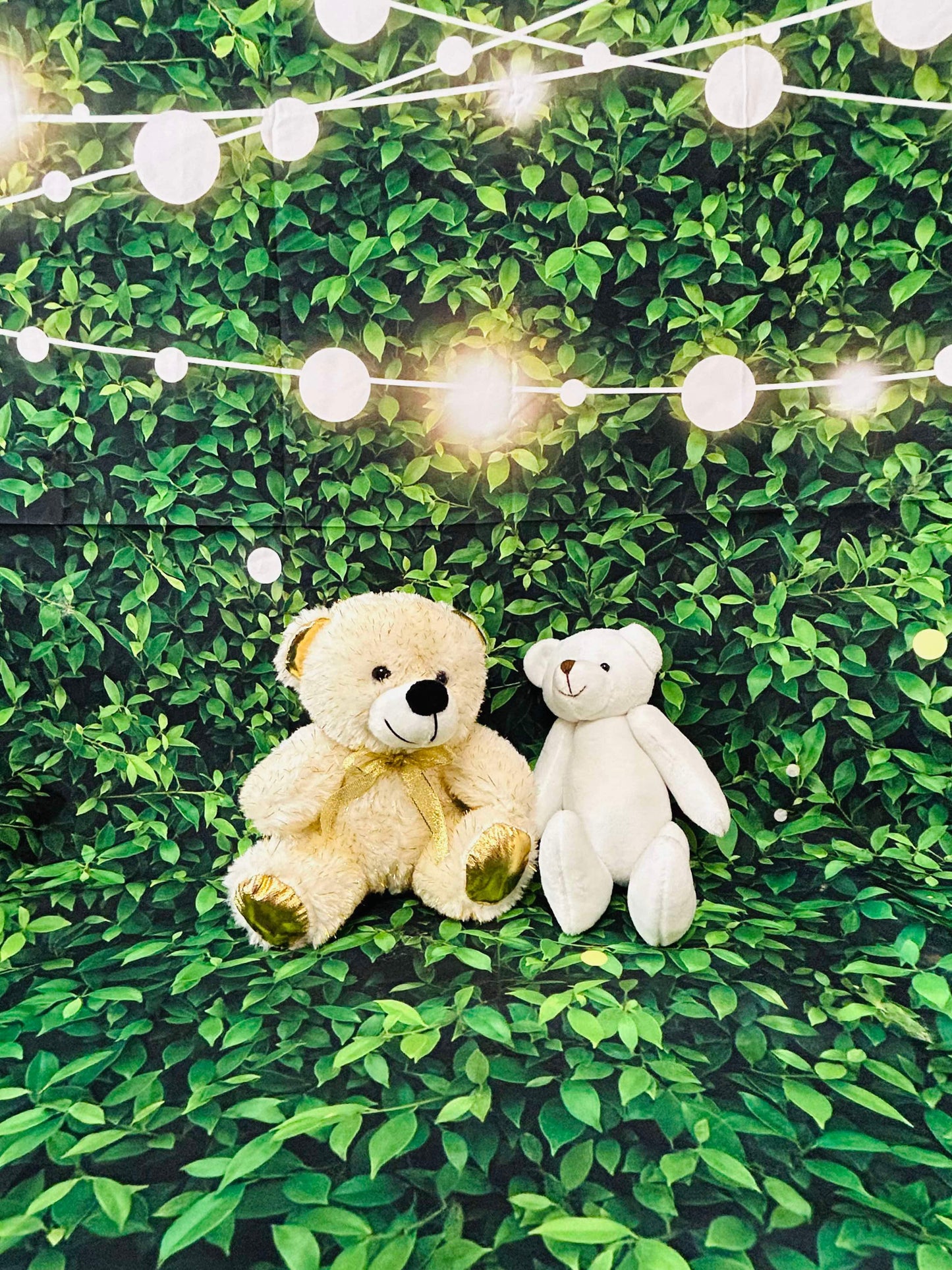 Bears