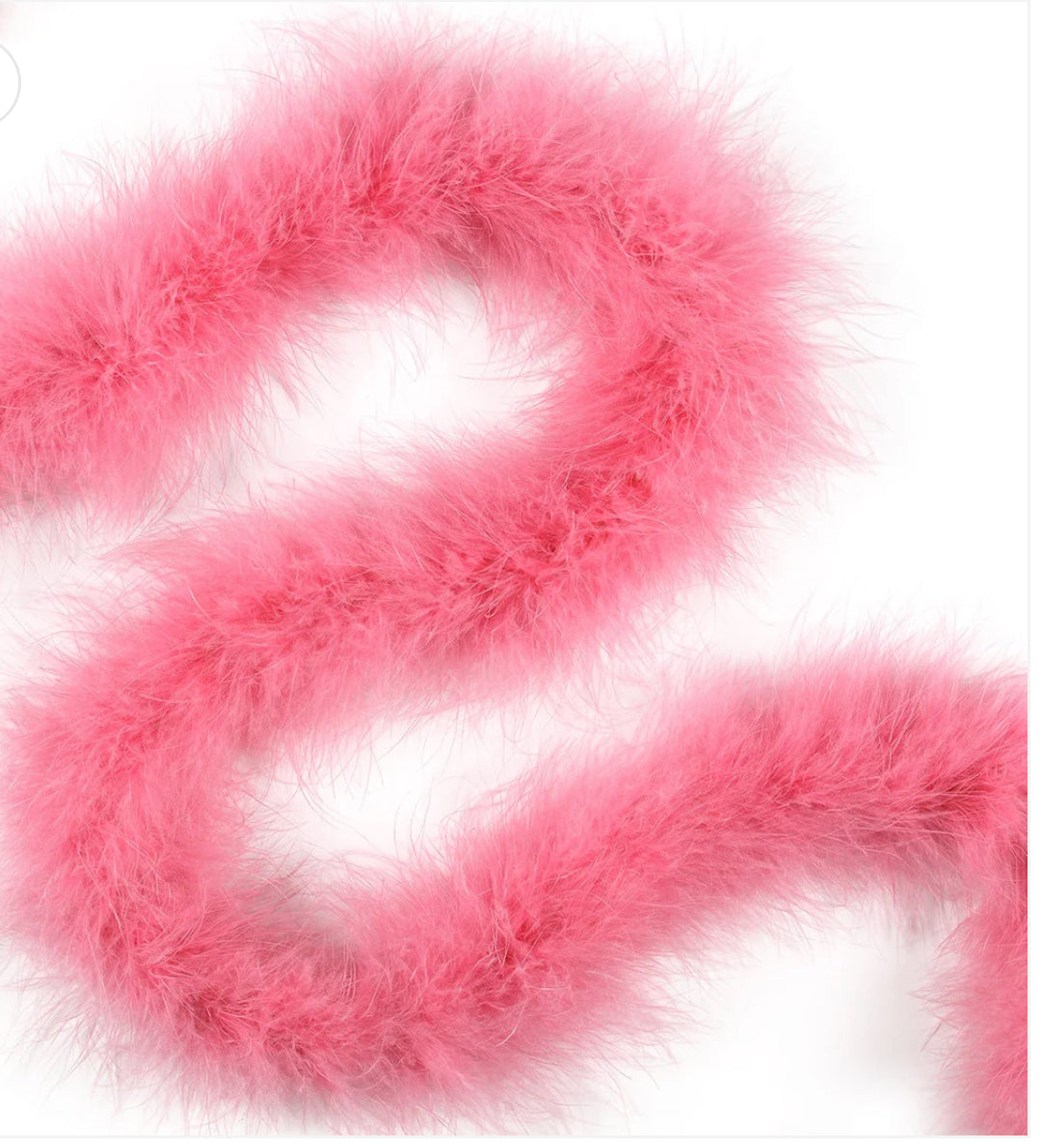 Marabou Boa