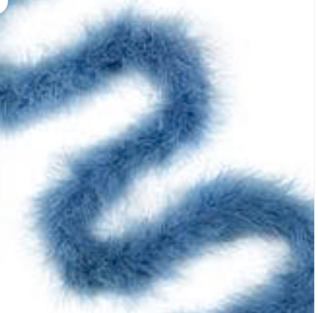 Marabou Boa