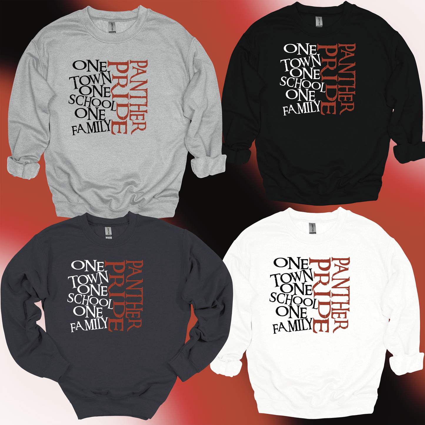 Panthers One Town One School Sweatshirt