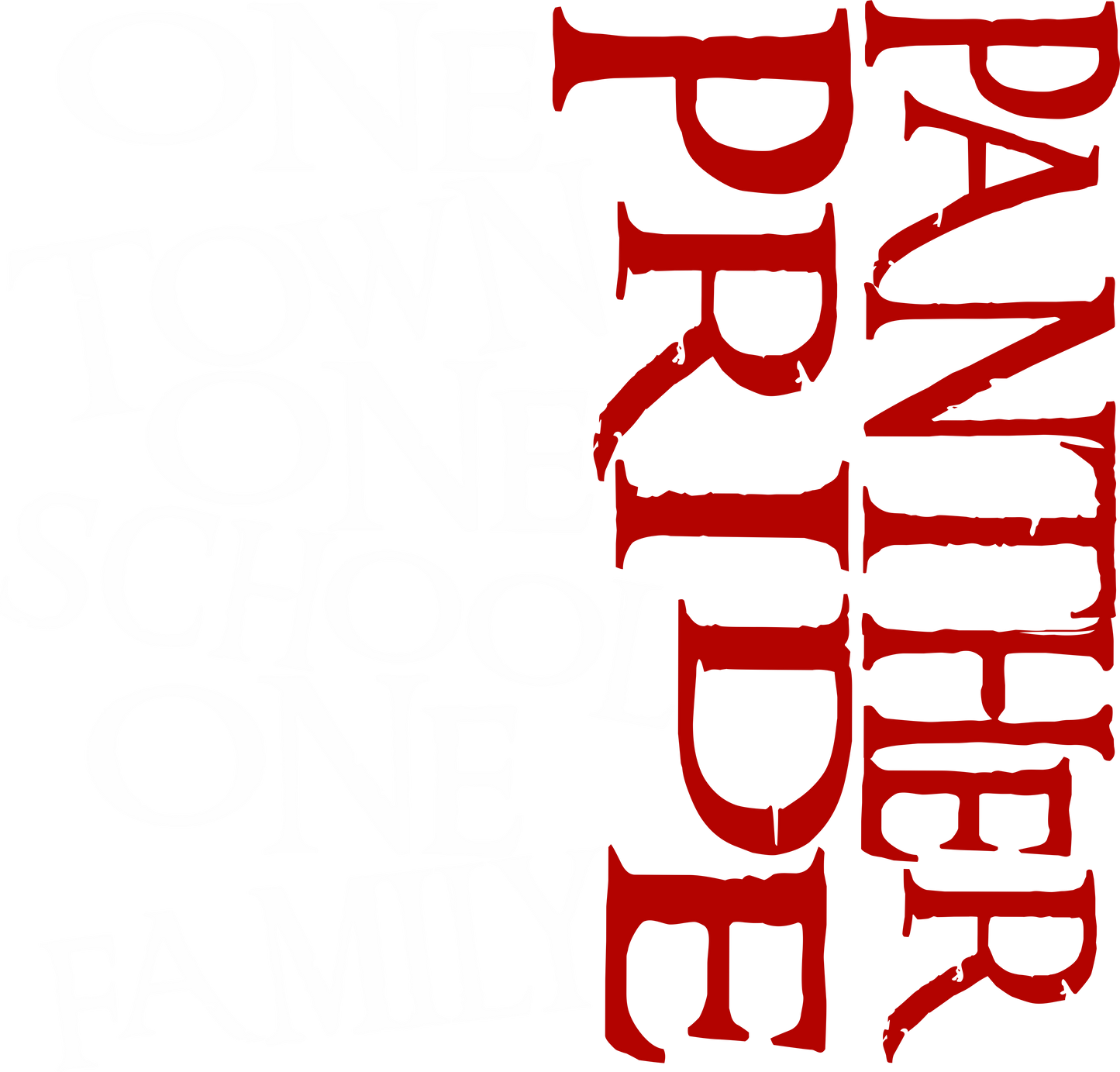 Panthers One Town One School Sweatshirt