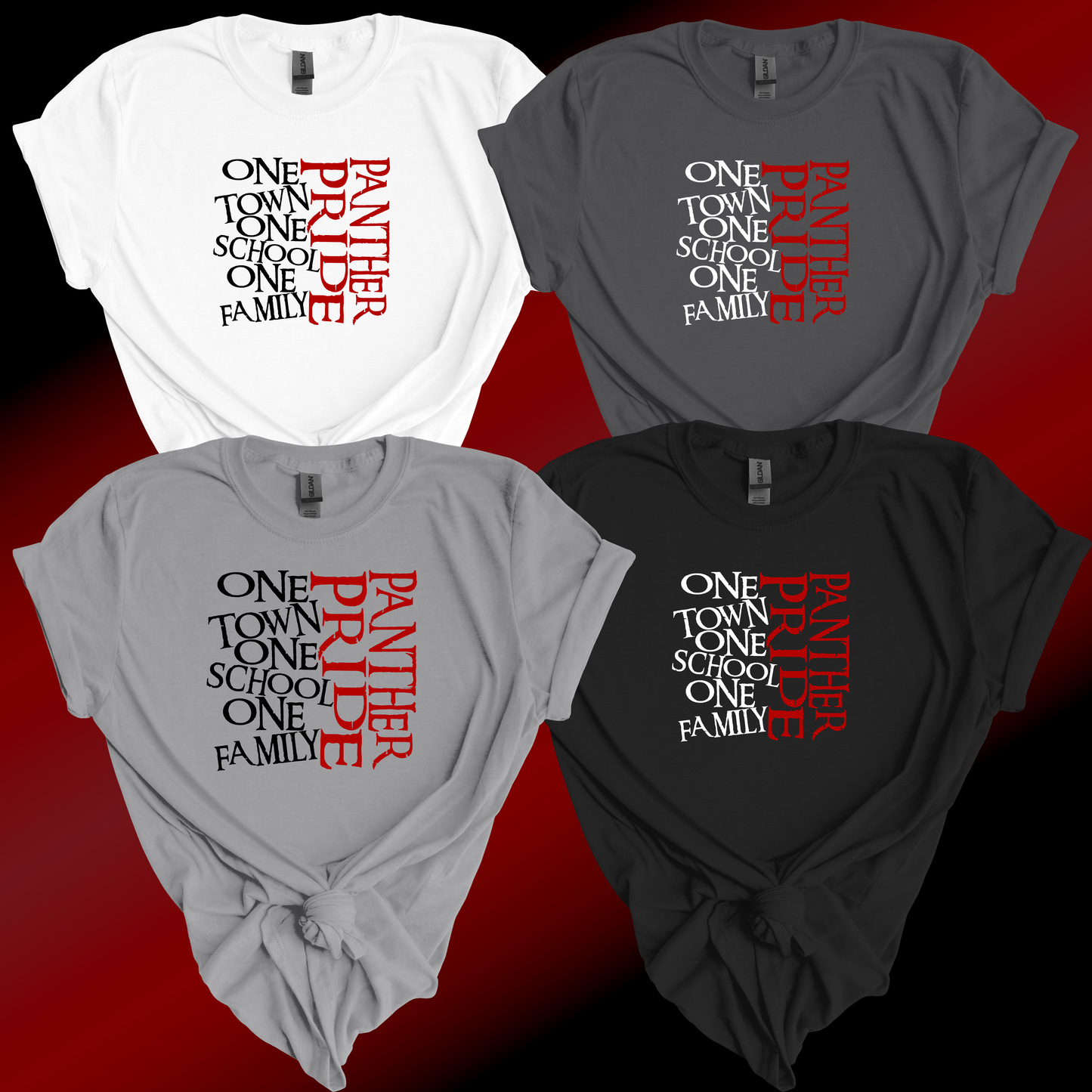 Panthers One Town One School T-Shirt