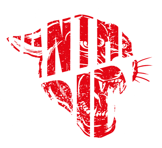 Panther Pride Distressed T-Shirt