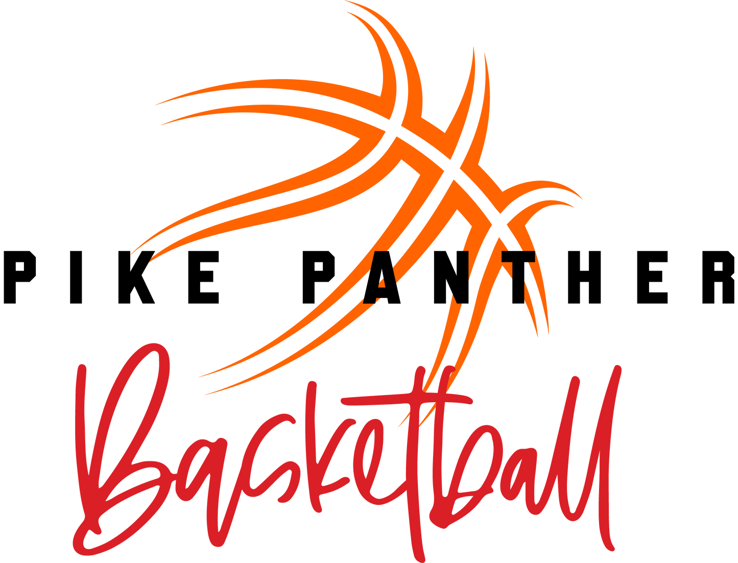 Panther Swish Motion Basketball T-Shirt