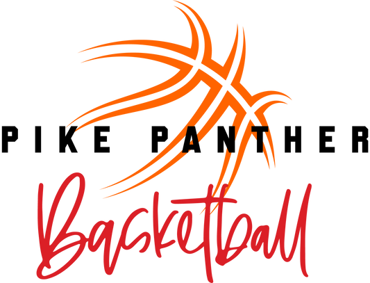 Panther Swish Motion Basketball T-Shirt