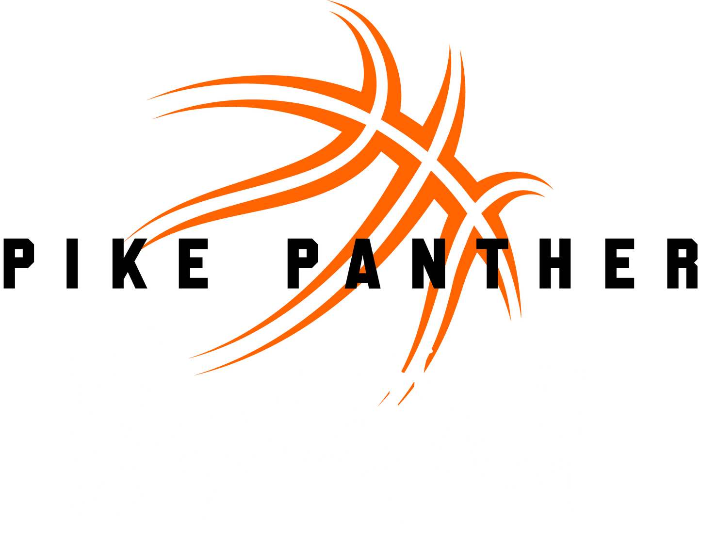 Panther Swish Motion Basketball Hoodie