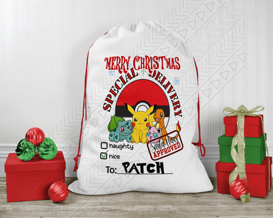 Pokemon Bag Arts & Entertainment